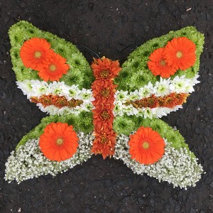 Small Butterfly Tribute